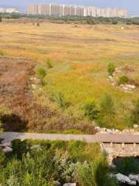 包頭賽汗塔拉城中草原，兩天一夜，旅遊費用攻略
