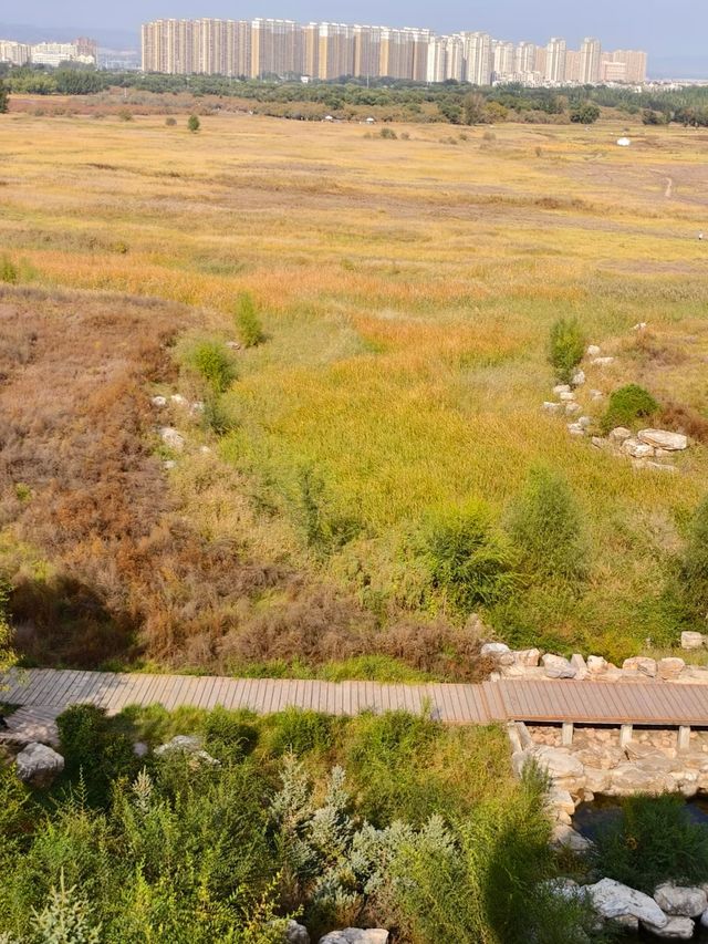 包頭賽汗塔拉城中草原，兩天一夜，旅遊費用攻略