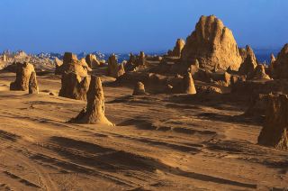 7일간 해서이 등지 완벽 가이드가 왔어요