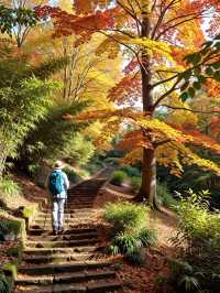 江浙滬小眾秋日自駕天堂!四明山紅楓谷yyds