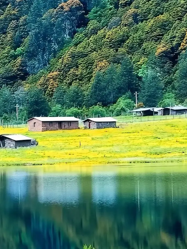 Shangri-La 1-Day Private Car Tour Covering All Highlights