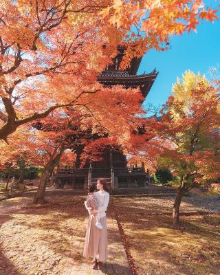 ถ่ายภาพท่องเที่ยวแบบครอบครัว | ภาพถ่ายฤดูใบไม้ร่วงอันแสนฝันในเกียวโต