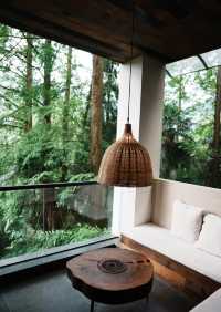 青城山下偷得半日閒古街漫步&私湯民宿也太絕了！