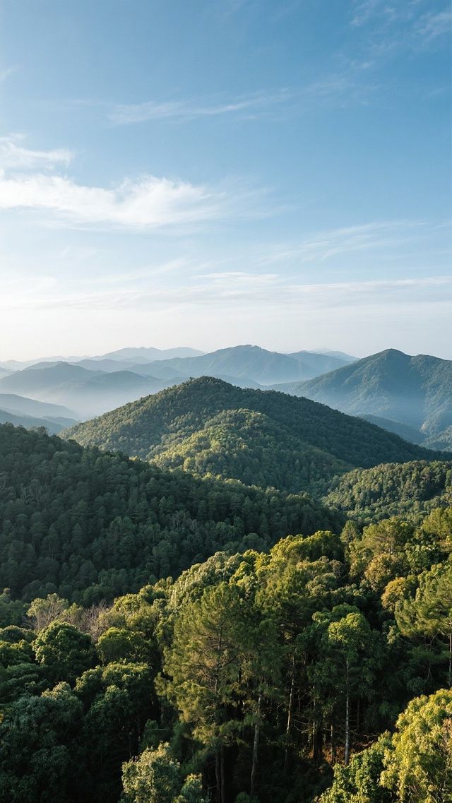 揭陽市旅遊旅遊景點 揭陽市旅遊旅遊景點
