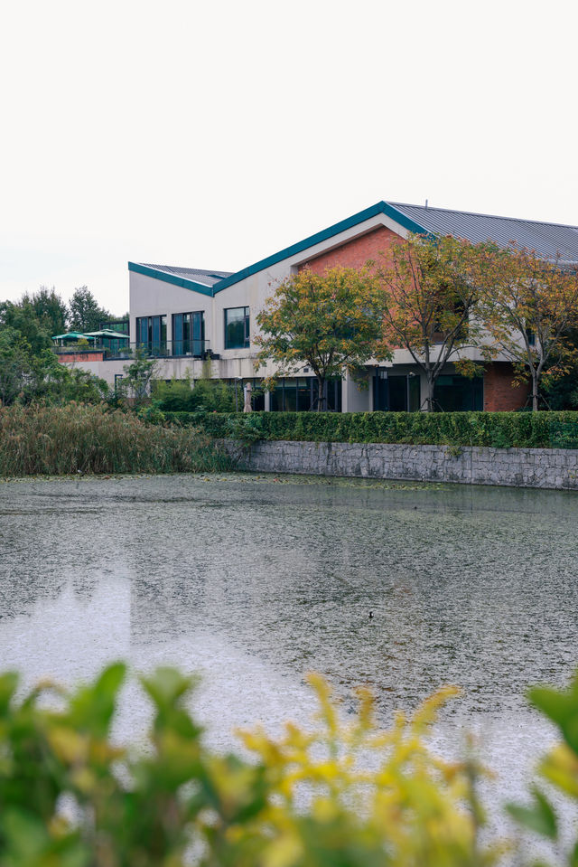 上海迪士尼!日式私湯溫泉好chill 上海迪士尼!日式私湯溫泉好chill