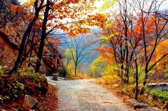 隴上小九寨-遮陽山3日遊