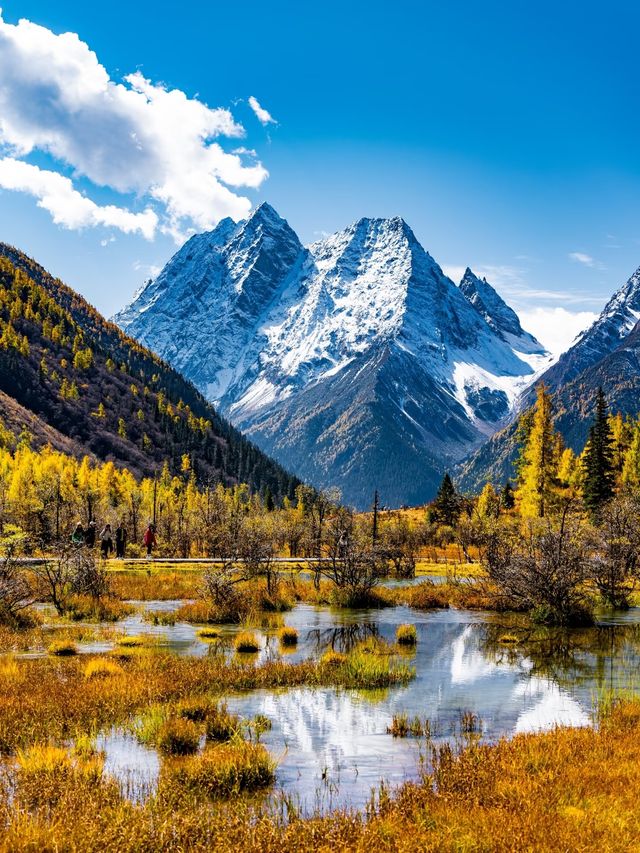 救命 川西秋日私藏秘境！99%人不知道的封神路線