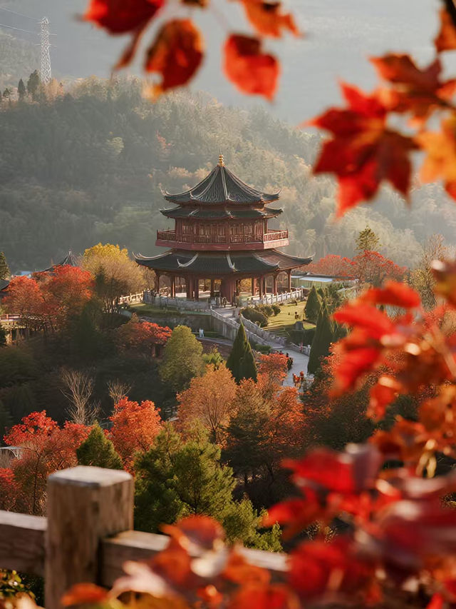 廣深週末溜娃!韶關紅楓+流星太絕了 廣深週末溜娃!韶關紅楓+流星太絕了