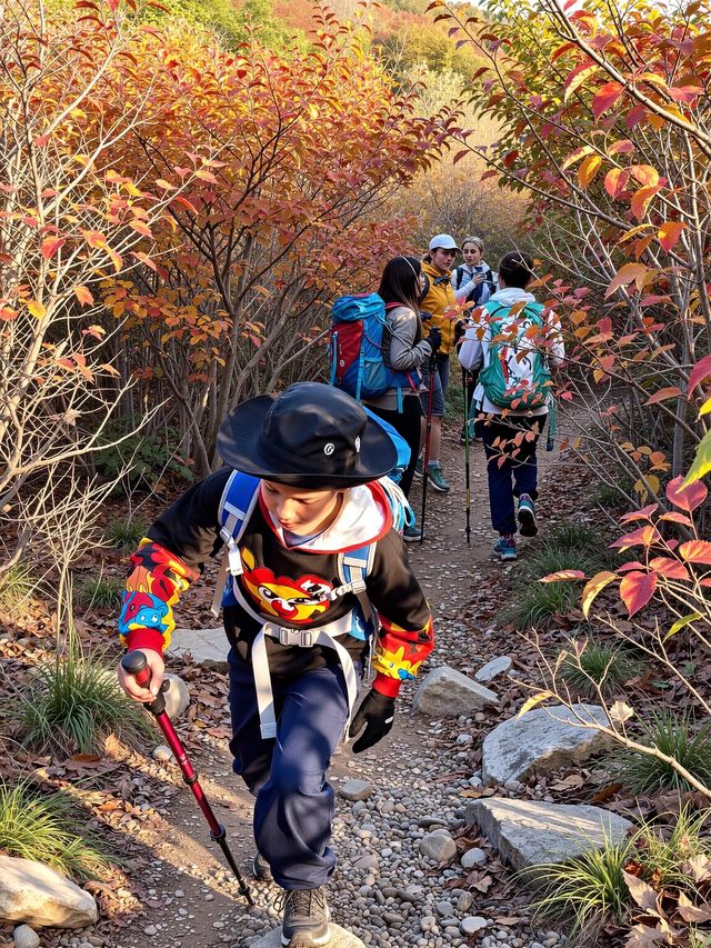 別再擠香山啦！私藏0元秘境，北京紅葉天花板！