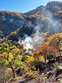 免費紅葉秘境指南