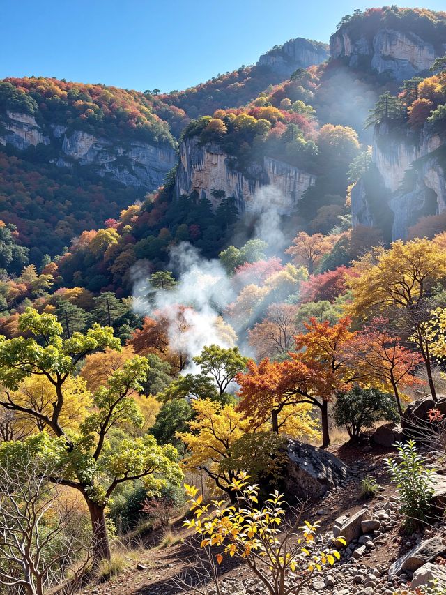 免費紅葉秘境指南 免費紅葉秘境指南