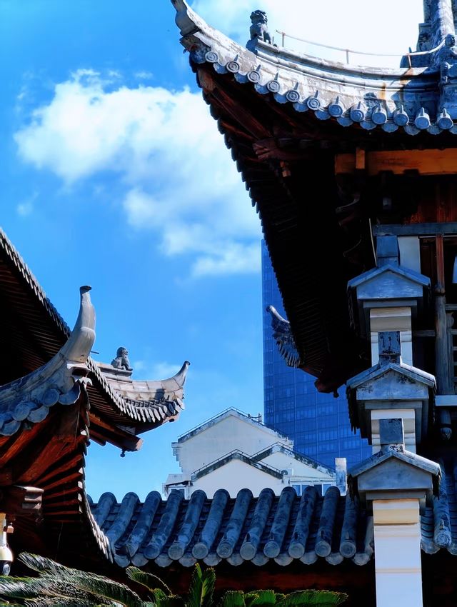 真如寺的銀杏還要等等,美味齋飯卻不用等 真如寺的銀杏還要等等,美味齋飯卻不用等