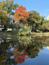 這個公園必須得去啊