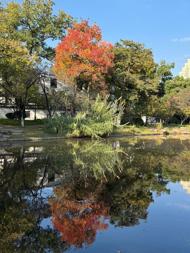 這個公園必須得去啊