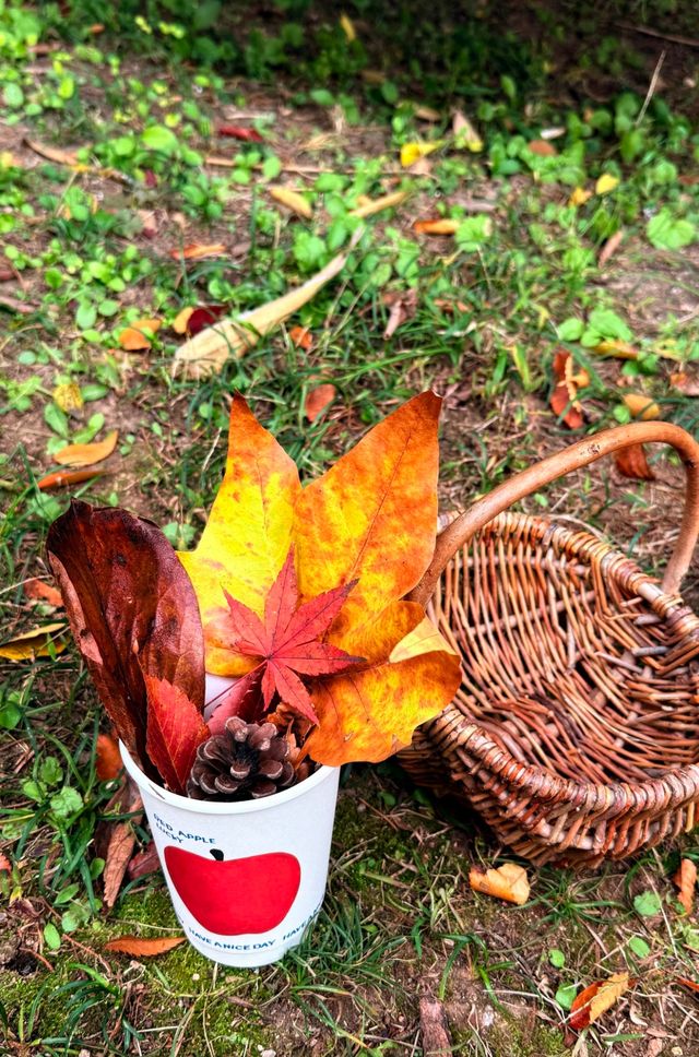 落葉、靜謐與時光感