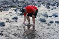 那拉提浪漫民宿指南奢境民俗小木屋體驗