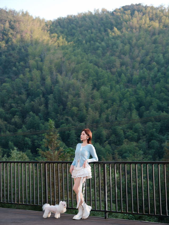 週末自駕莫干山帶毛孩子一起撒歡