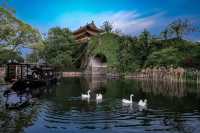 音樂之城正式啟幕