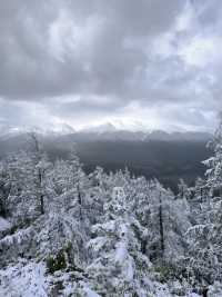 被喀納斯的美震撼到說不出話這才是新疆旅遊的天花板,阿勒泰皇冠上的明珠說的就是這裡吧 【必