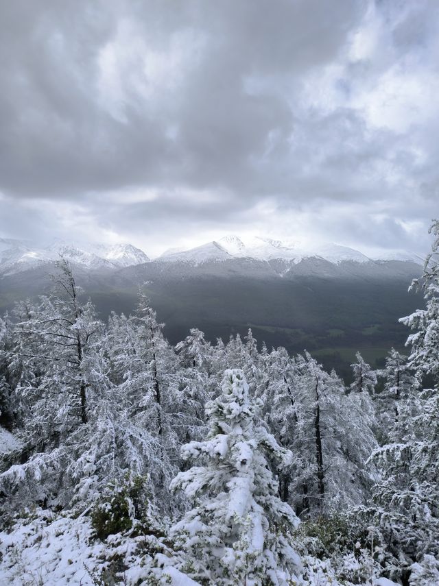 被喀納斯的美震撼到說不出話這才是新疆旅遊的天花板,阿勒泰皇冠上的明珠說的就是這裡吧 【必 被喀納斯的美震撼到說不出話這才是新疆旅遊的天花板,阿勒泰皇冠上的明珠說的就是這裡吧 【必