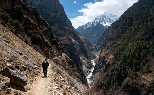 野性尼農穿越記