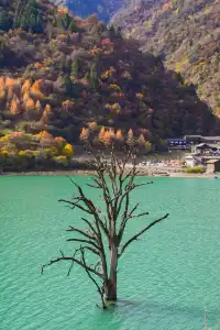 【天母湖】被秋天染成油畫的神仙秘境！