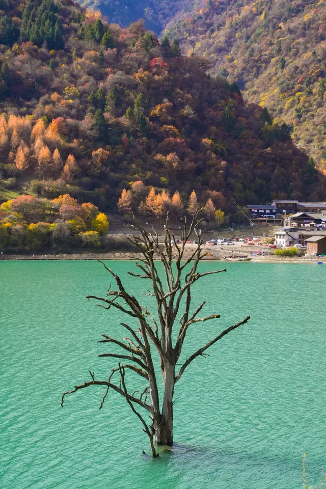 【天母湖】被秋天染成油畫的神仙秘境！