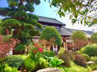 銅官窯·古鎮之光必看