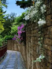 這是我花5蚊雞就能看到的景色？！？！