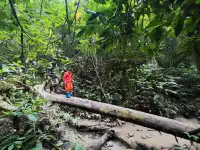 春節版納普洱行