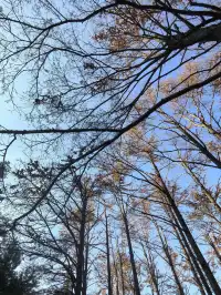 四明山十字褲徒步 上海-餘姚