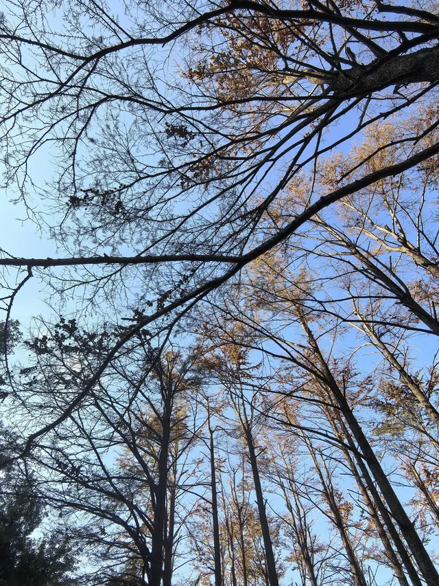 四明山十字褲徒步 上海-餘姚