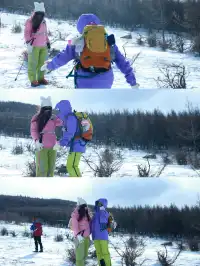 樺皮嶺已回！遊玩攻略已發！評論區有問必答