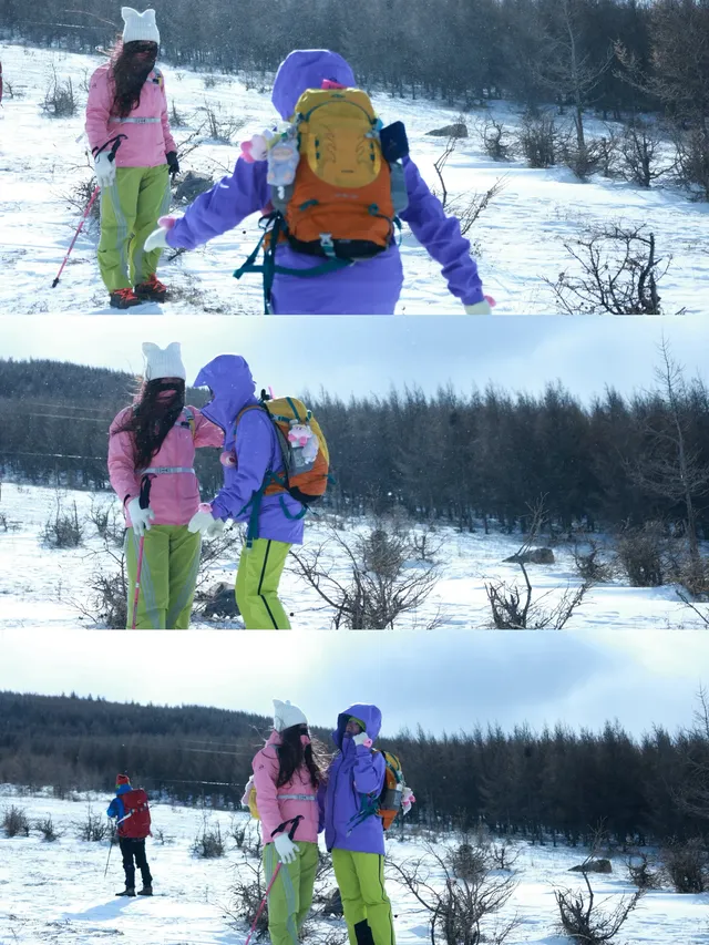 樺皮嶺已回！遊玩攻略已發！評論區有問必答