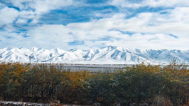 西寧高原三日遊攻略