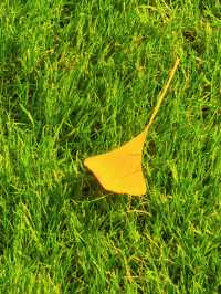 上海的秋日藝術巡禮