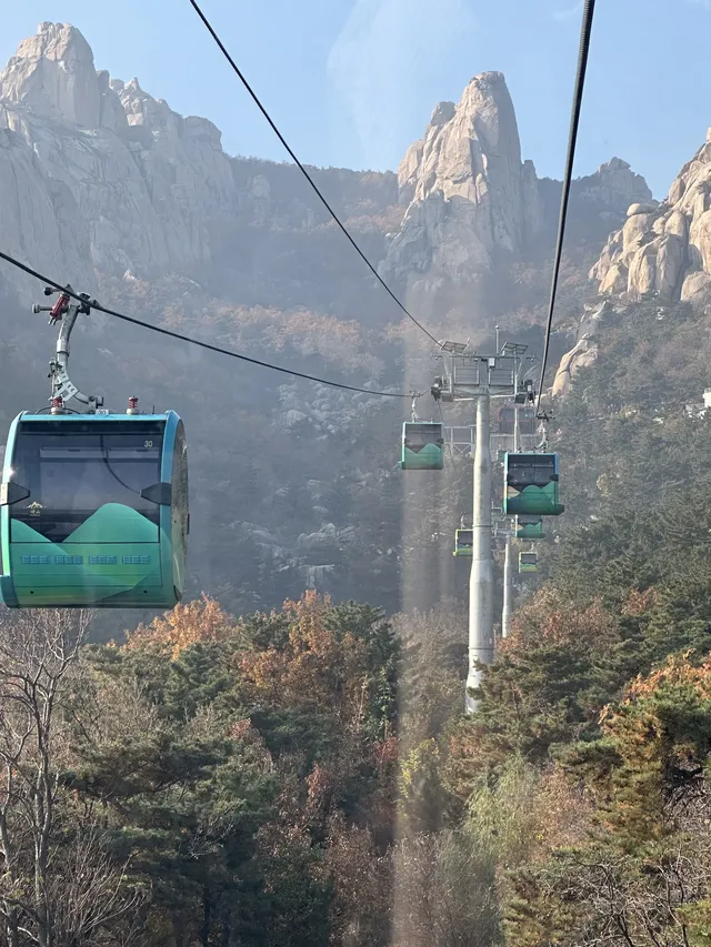 崂山半日遊 崂山半日遊