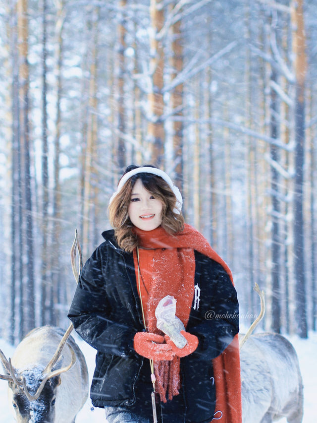 !漠河3天2晚小團把浪漫焊死在冬天裡 !漠河3天2晚小團把浪漫焊死在冬天裡