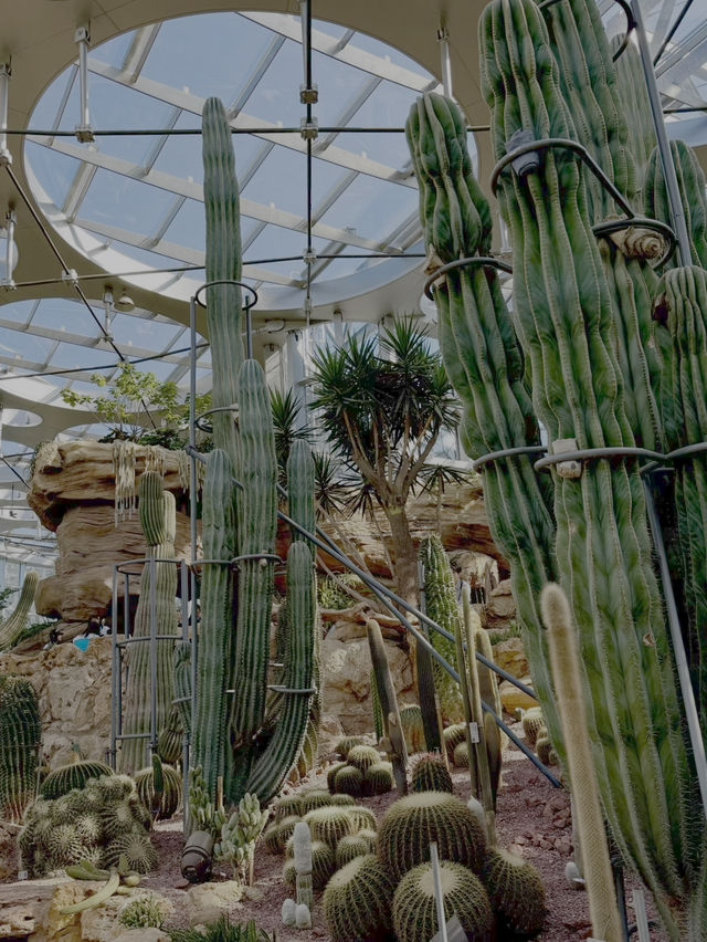 Shanghai’s Ultimate Urban Jungle Adventure🎉: Parent-Child Weekend Guide 🌿🤩 Shanghai’s Ultimate Urban Jungle Adventure🎉: Parent-Child Weekend Guide 🌿🤩