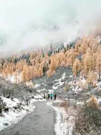 黨嶺3天2夜徒步攻略(不露營版)