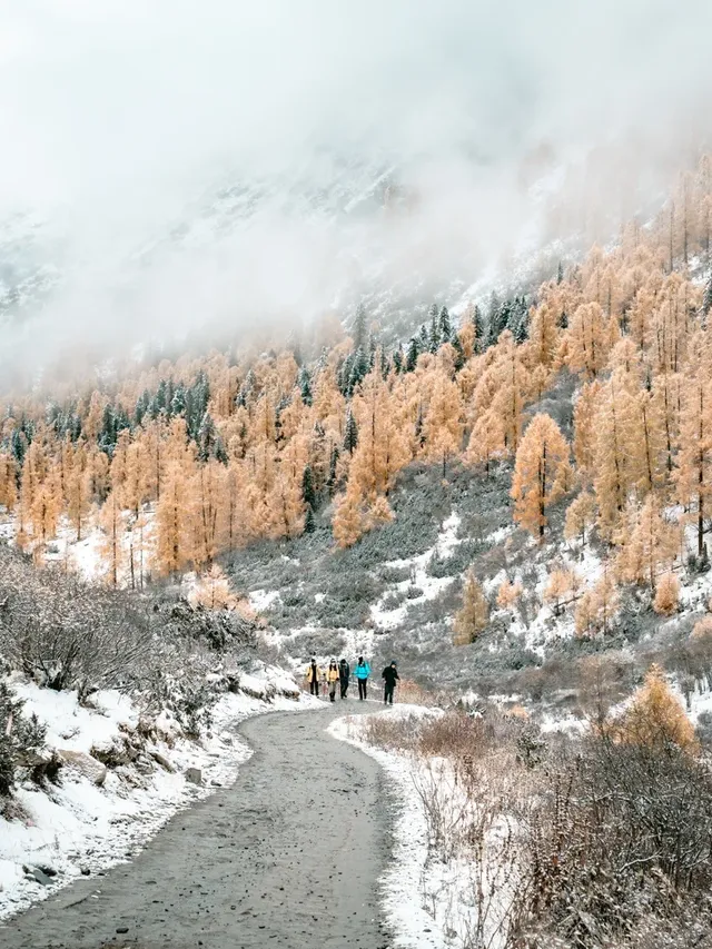黨嶺3天2夜徒步攻略(不露營版) 黨嶺3天2夜徒步攻略(不露營版)