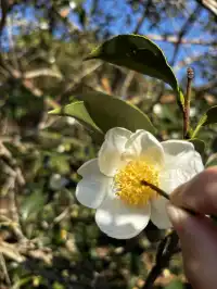 神仙谷隱藏玩法大公開！極限蹦極+深山尋寶