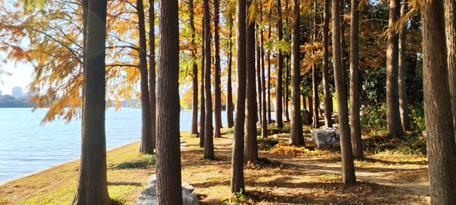 遇見李公堤 遇見李公堤