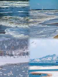 冬日威海簡直美得讓我想住在這裡過冬!