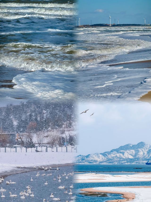 冬日威海簡直美得讓我想住在這裡過冬! 冬日威海簡直美得讓我想住在這裡過冬!