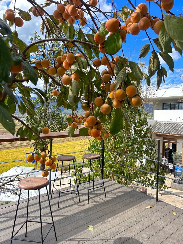 雲南旅行 | 去了沙溪家很出片的咖啡店