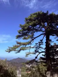 九華山的磁場真的太強了