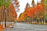 [Citywalk]漢口的citywalk，容量有點大