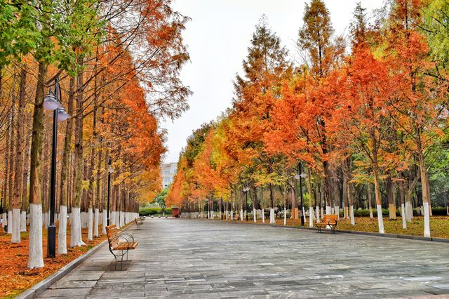 [Citywalk]漢口的citywalk，容量有點大