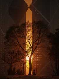 魔都落日秘境滴水湖懸日最佳打卡機位大公開!